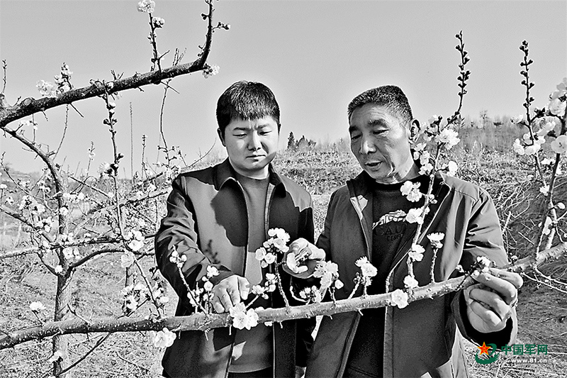 河南省洛阳市老兵父子坚持八年植树造福群众